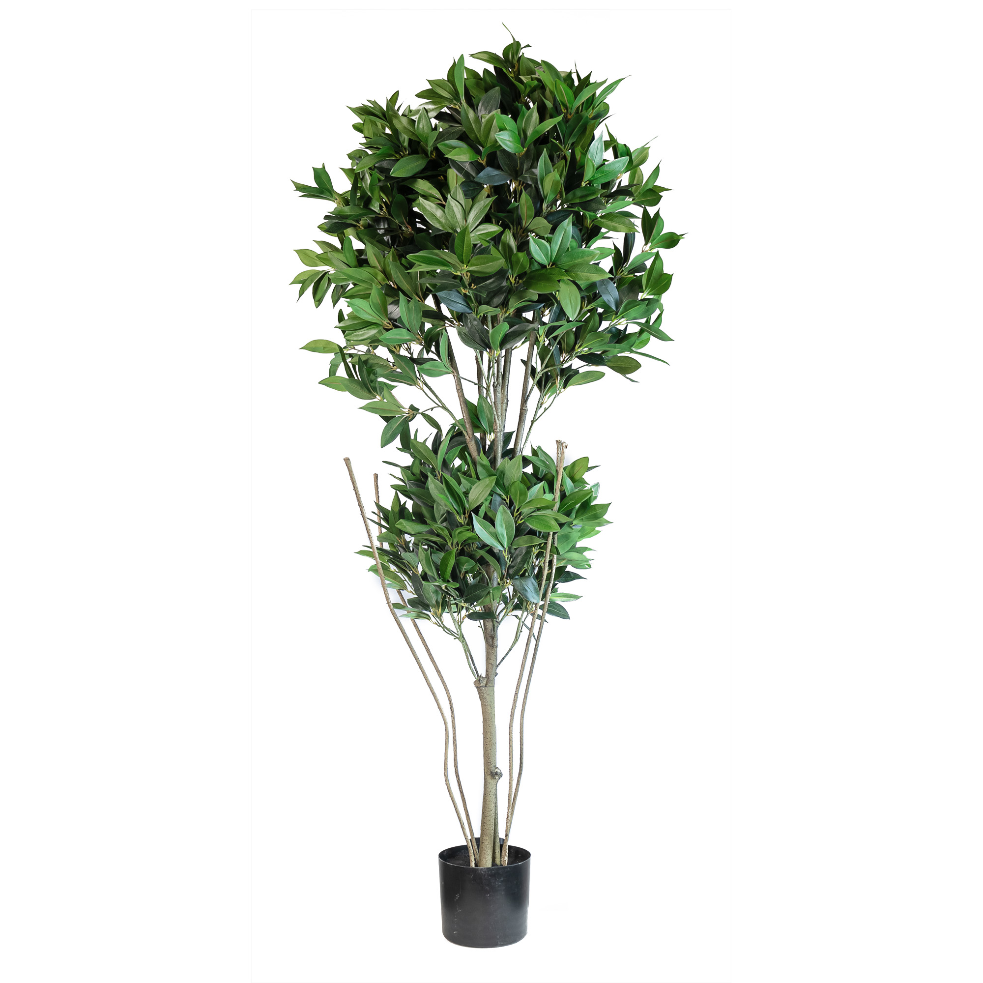 Artificial shikibia topiary tree x2 1500LVS